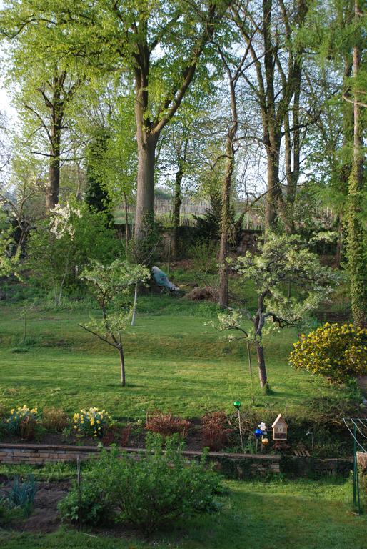 La Maison De Georges - Les Coquelicots Scharrachbergheim-Irmstett 部屋 写真