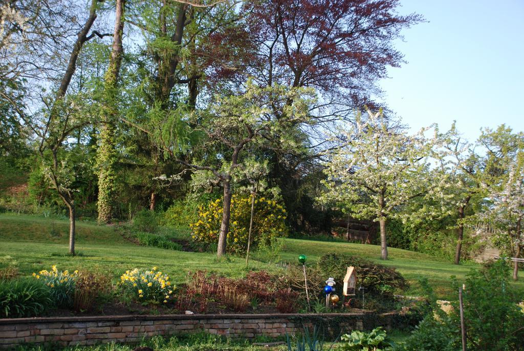 La Maison De Georges - Les Coquelicots Scharrachbergheim-Irmstett 部屋 写真