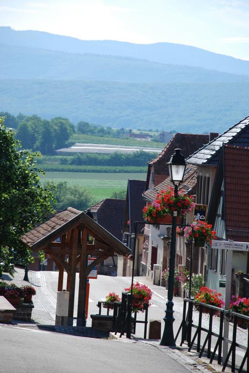 La Maison De Georges - Les Coquelicots Scharrachbergheim-Irmstett 部屋 写真
